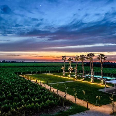 Masseria Torleanzi Wine Relais 산 피에트로 베노티코 외부 사진