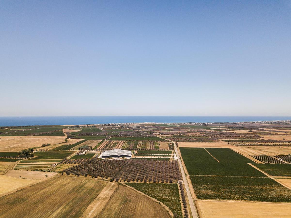 Masseria Torleanzi Wine Relais 산 피에트로 베노티코 외부 사진
